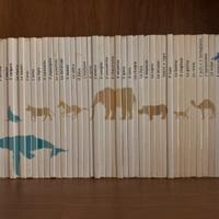 L’arca degli animali edizione del Prado