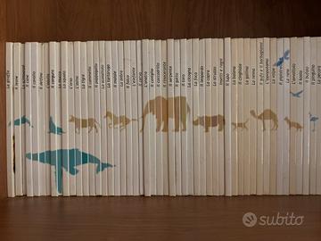 L’arca degli animali edizione del Prado