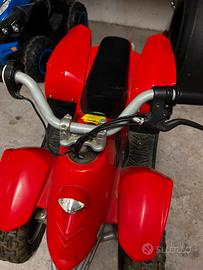 Quad con batteria da sostituire