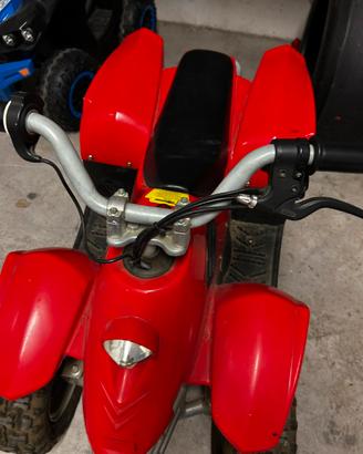 Quad con batteria da sostituire