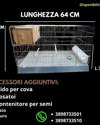 gabbia per uccellini