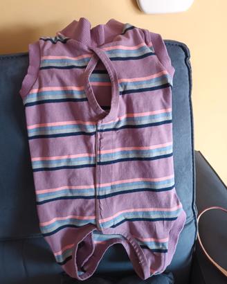 maglietta in cotone per cani piccola taglia