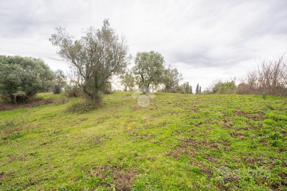TER. AGRICOLO A SACROFANO - Altro