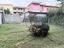 Immagine 13