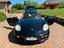 Immagine 26