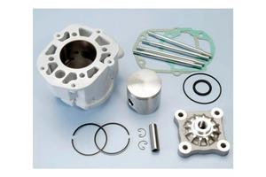 Gruppo termico Polini per Aprilia/Derbi 50 1090016