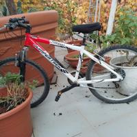 Bicicletta bambino