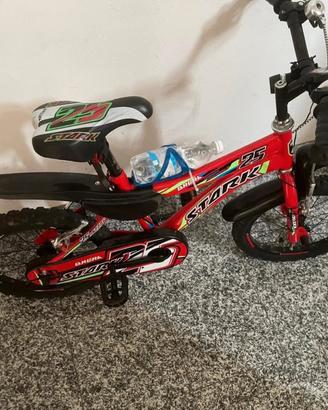 bicicletta bamino 