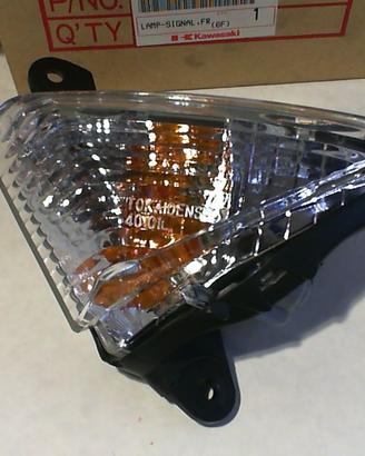 FRECCIA ANT SX KAWASAKI 230100119 EX 230400059