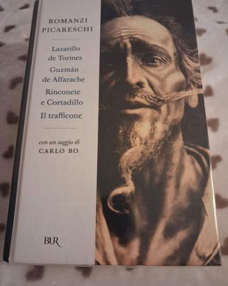Romanzi picareschi