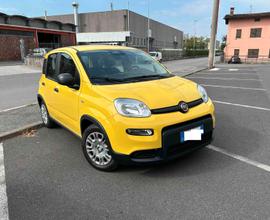 Fiat Panda 1.0 Hybrid  km 5.018 unico proprietario