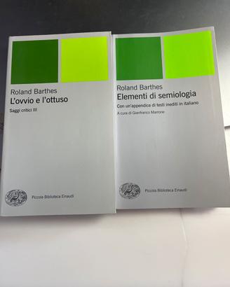 L ovvio e l ottuso- elementi di semiologia