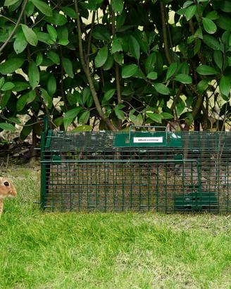 trappola per animali vivi 