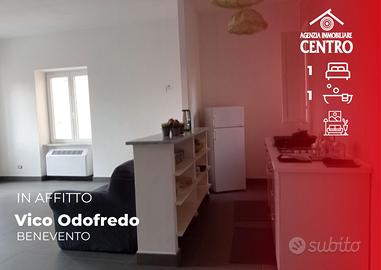 Appartamento arredato in centro