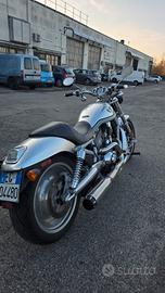 Harley Davidson V rod