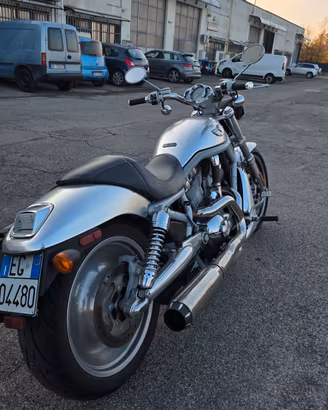Harley Davidson V rod