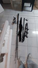 canne da carpfishing 