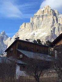Cortina san vito app disponibile da aprile