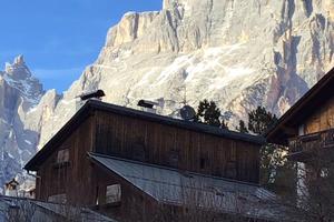 Cortina san vito app disponibile da aprile