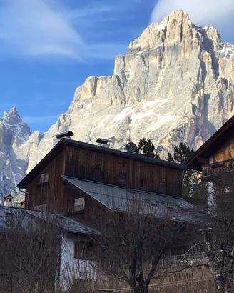 Cortina san vito app disponibile da aprile