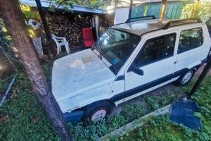 panda usata