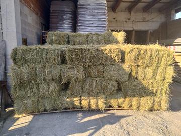 Fieno nuovo in ballette