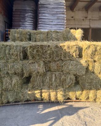 Fieno nuovo in ballette
