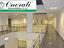 Immagine 7