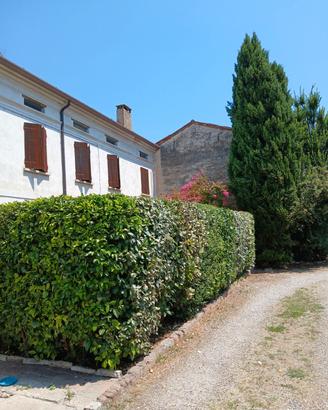 Casa rustica