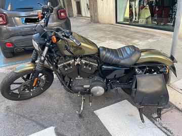 Harley 883 Iron - live gold- 2016