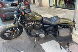 Harley 883 Iron - live gold- 2016