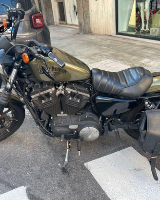 Harley 883 Iron - live gold- 2016