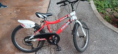  Bicicletta da 20 pollici  a 15 euro 