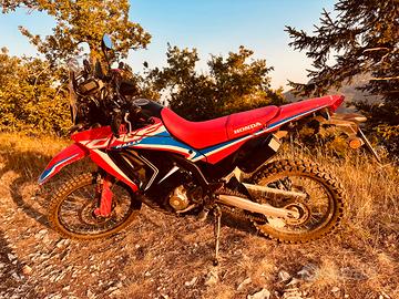 Honda CRF 300 Rally