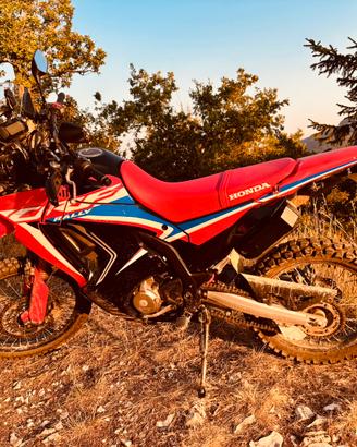 Honda CRF 300 Rally