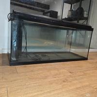 Acquario 176 L (100x40x44) con filtro interno