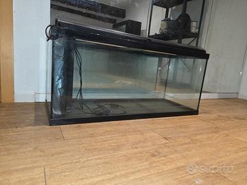Acquario 176 L (100x40x44) con filtro interno