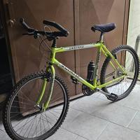 Mountain bike uomo