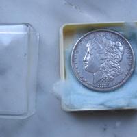 Moneta Argento 1 Dollaro Morgan 1889 antica USA