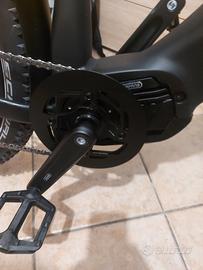 Bicicletta elettrica
