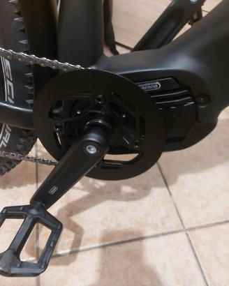 Bicicletta elettrica