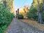 Immagine 21