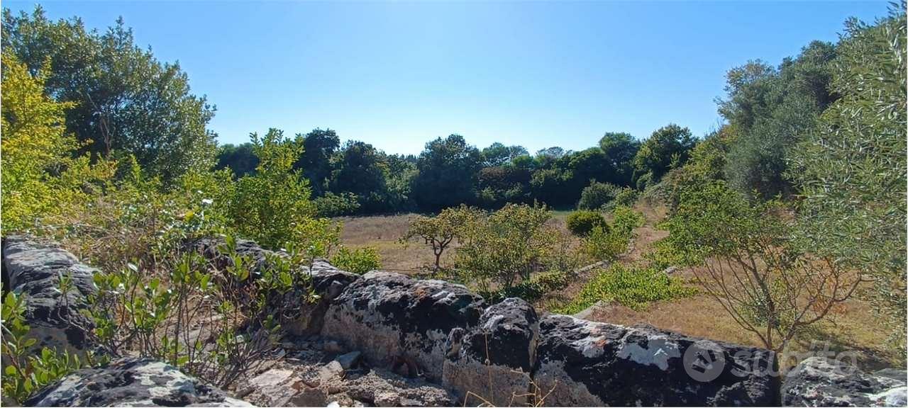 Terreno agricolo con rudere ricostruibile Localit - Vista 6