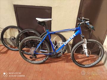 MTB Giant taglia M 1x12