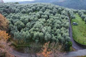 TER. AGRICOLO A PISTOIA
