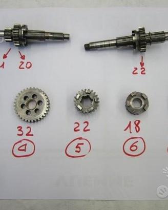 Albero Primario e Secondario Morini TS/R 5 marce