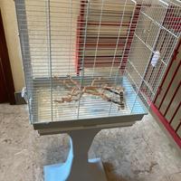 Gabbia per volatili