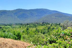 Terreno edificabile a Montecchio