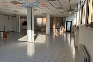 ampio e luminoso locale con giardino privato