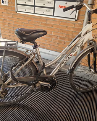 bicicletta trekking donna